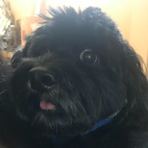 Meet your Posher, Alana